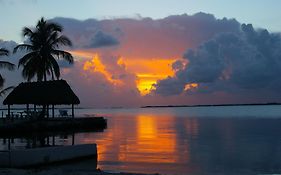 Rock Reef Resort Key Largo