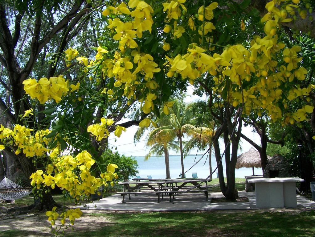 Rock Reef Resort Key Largo Exterior photo